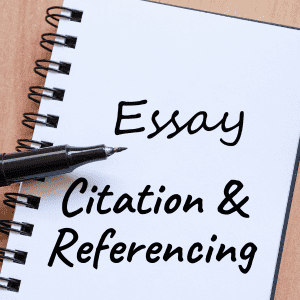 Essay Citation